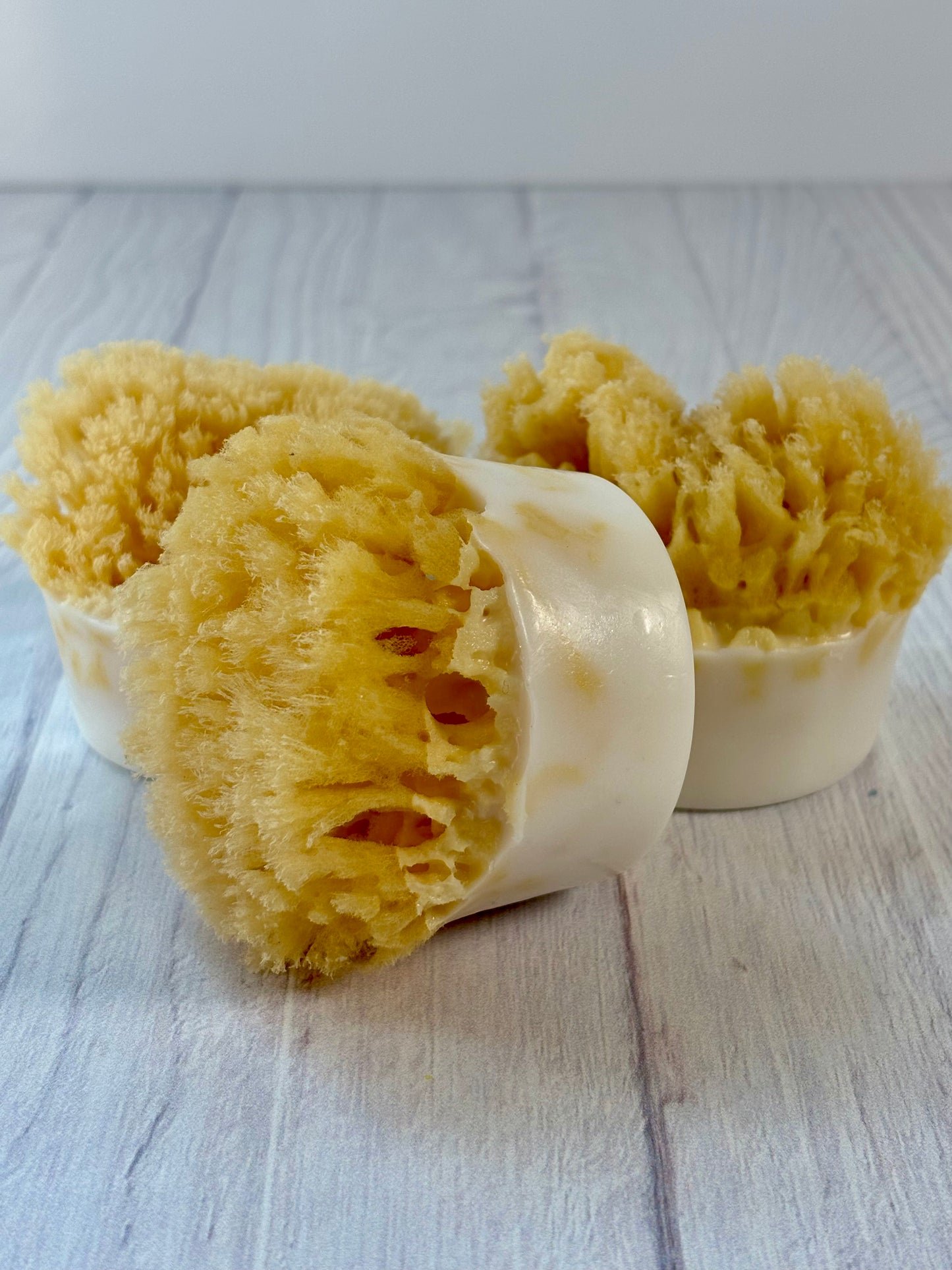 OCEAN SHORES LUXE SEA SPONGE SOAP
